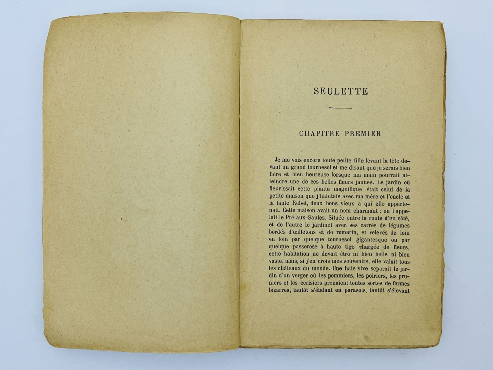 Прессансе Элиза де. Seulette (Одинокая).