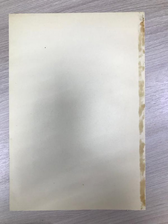 Литография.Флигель-Адъютанты Его Императорского Величества, 15 марта 1855. (В полукафтане и в сюртуке)