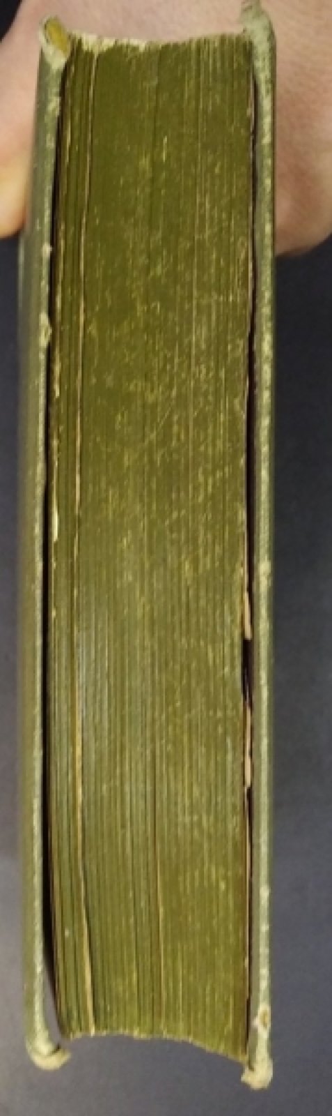 Генти (Гентли) Дж.А. Краснокожий и ковбой.