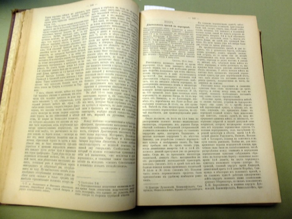 Крестовский В.В. 20 месяцев в действующей армии в 1877 - 1878 годах. В дальних водах и странах (от Босфора до Киото 1880 - 1881).