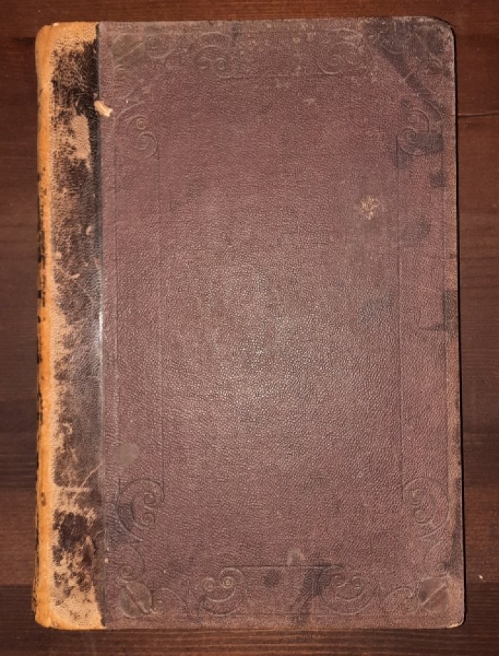 Фридрих фон-Гельвальд. Земля и ее народы.