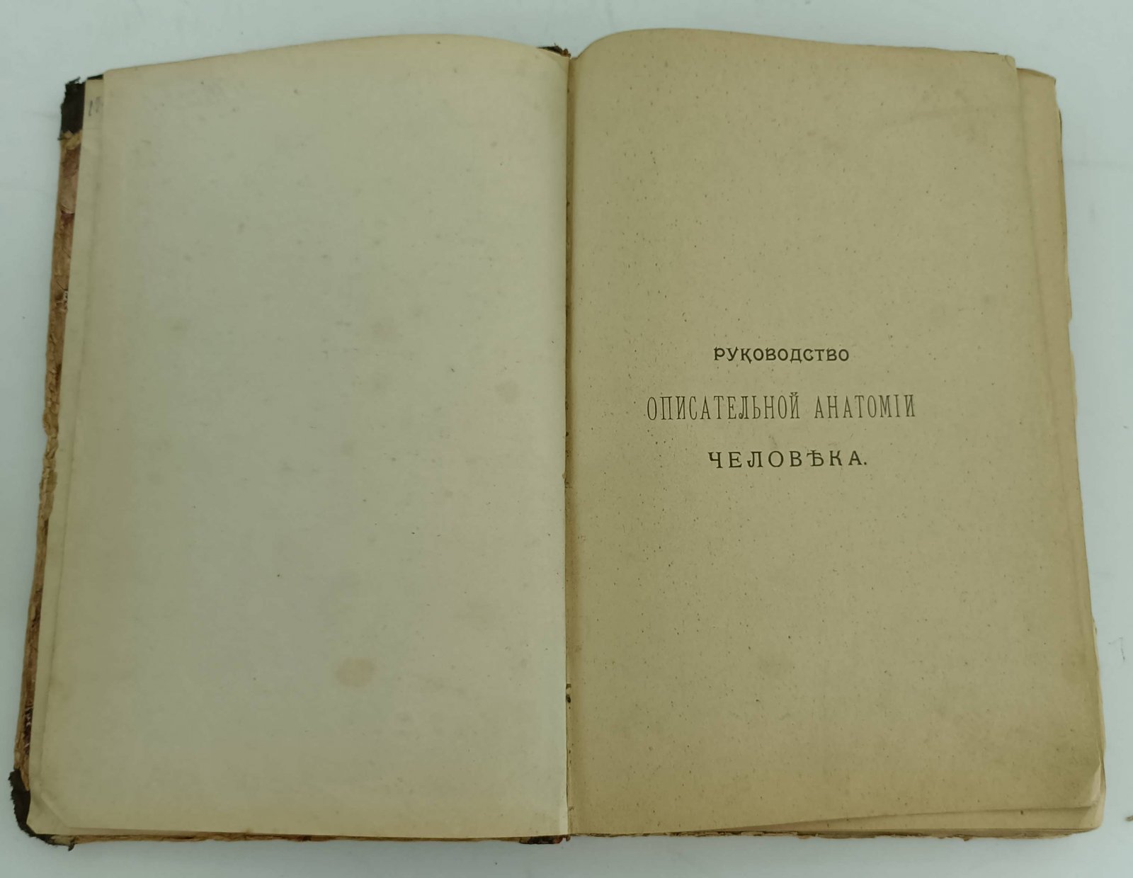 Зернов Д. Руководство по описательной анатомии человека. Ч.1.