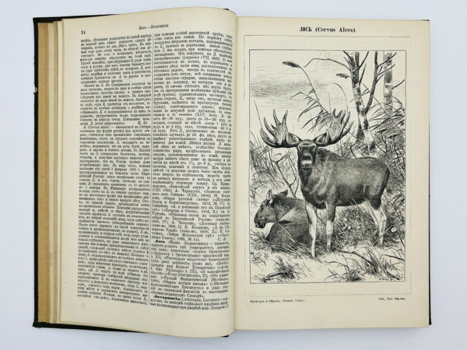 Брокгауз Ф.А., Ефрон И.А. Энциклопедический словарь. Том XVIII (полутом 35). Лопари - Малолетние преступники