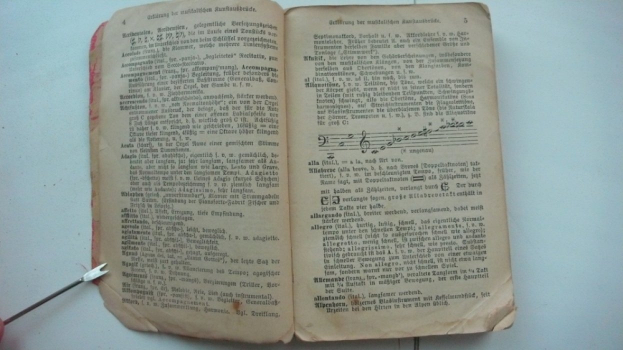 Риман. Musik Taschenbuch/Карманный музыкальный словарь Римана.