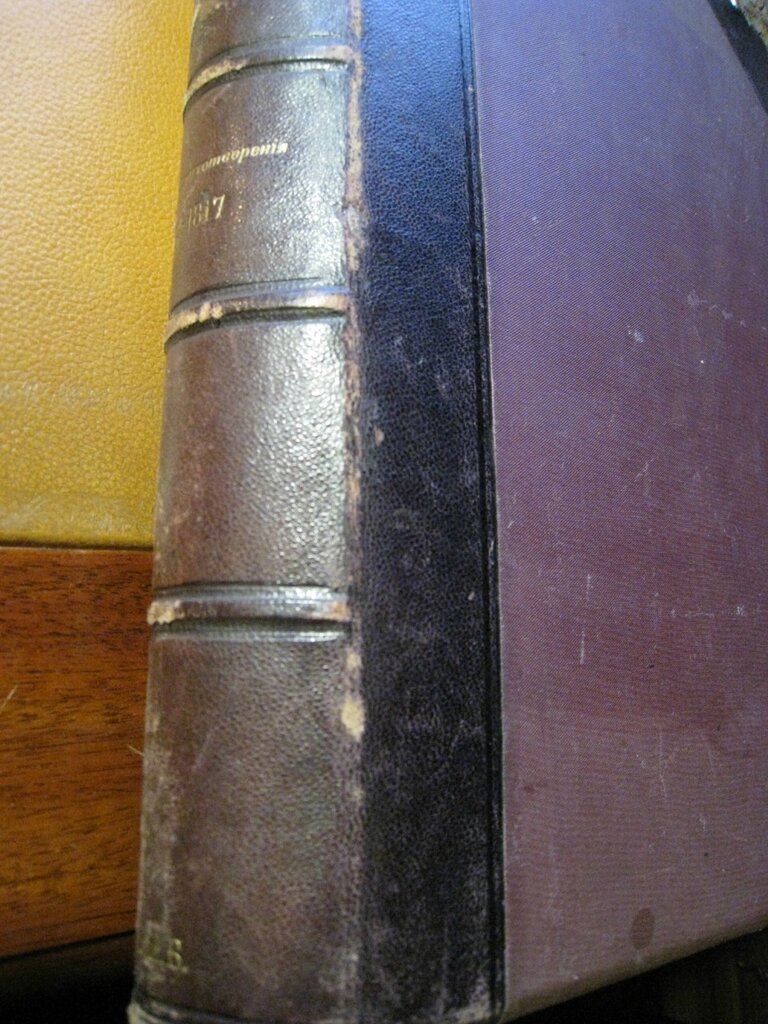 Пушкин А.С. Сочинения Пушкина. Том 1. Лирические стихотворения (1812-1817).