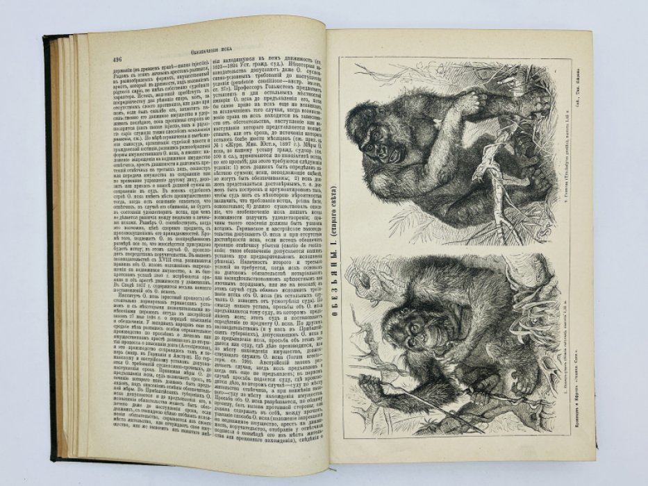 Брокгауз Ф.А., Ефрон И.А. Энциклопедический словарь. Том XXIа (полутом 42). Нэшвилль - Опацкiй