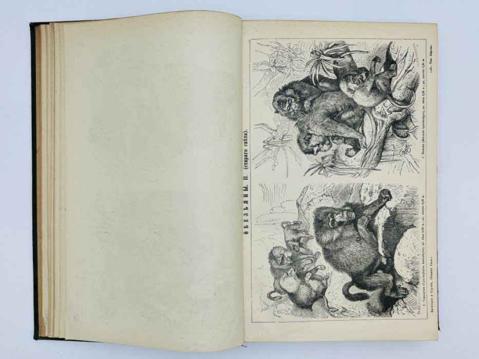 Брокгауз Ф.А., Ефрон И.А. Энциклопедический словарь. Том XXIа (полутом 42). Нэшвилль - Опацкiй