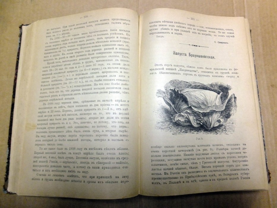 Плодоводство. 1899 г. (12 номеров - комплект).