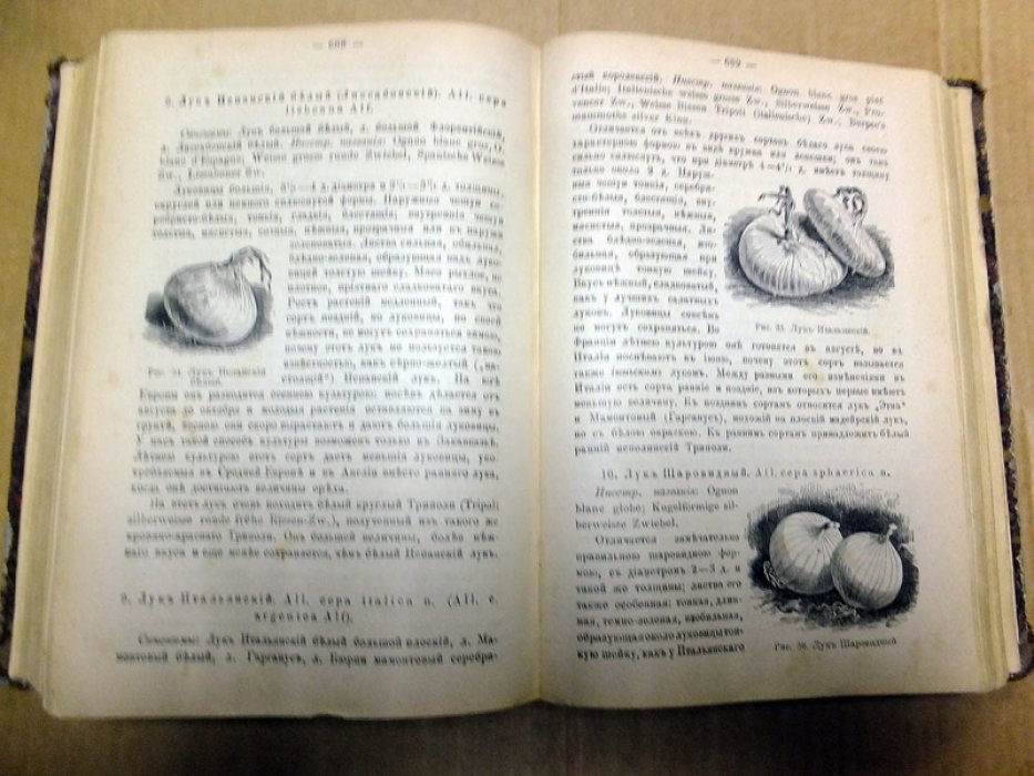 Плодоводство. 1899 г. (12 номеров - комплект).