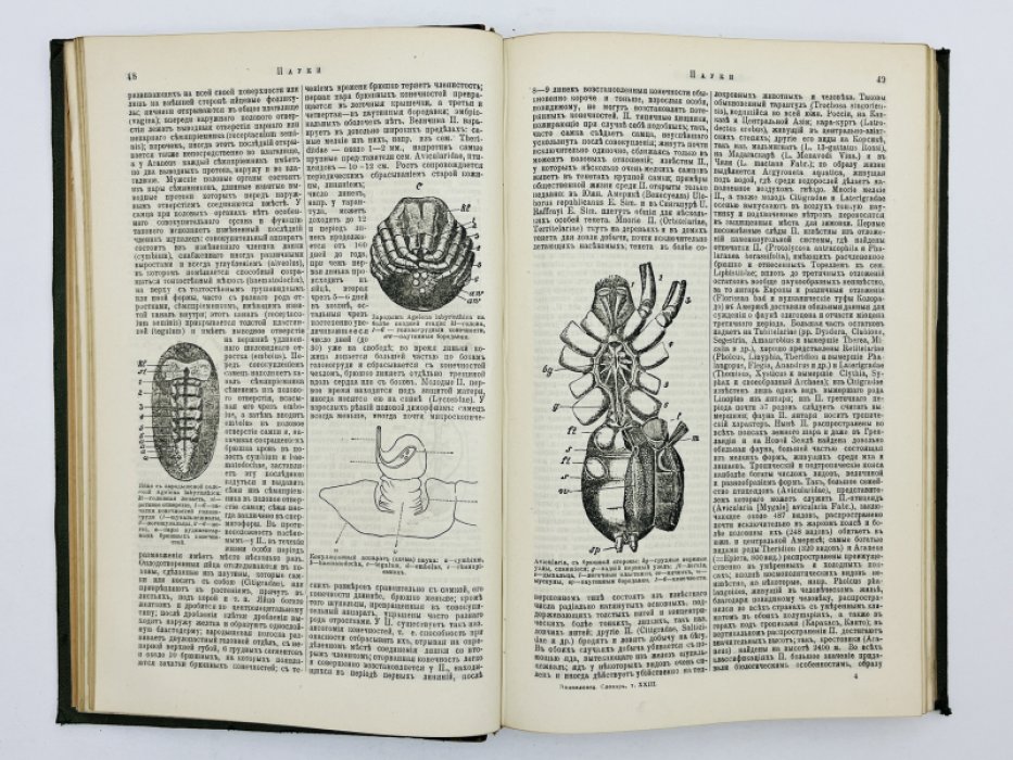Брокгауз Ф.А., Ефрон И.А. Энциклопедический словарь. Том XXIII (полутом 45). Патенты на изобретенiя - Петропавловскiй