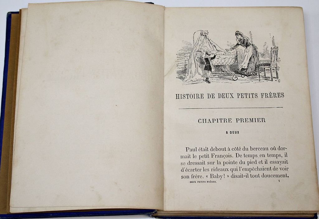 M-me de Witt. Histoire de deux petits freres. [Мадам де Витт. История двух младших братьев].