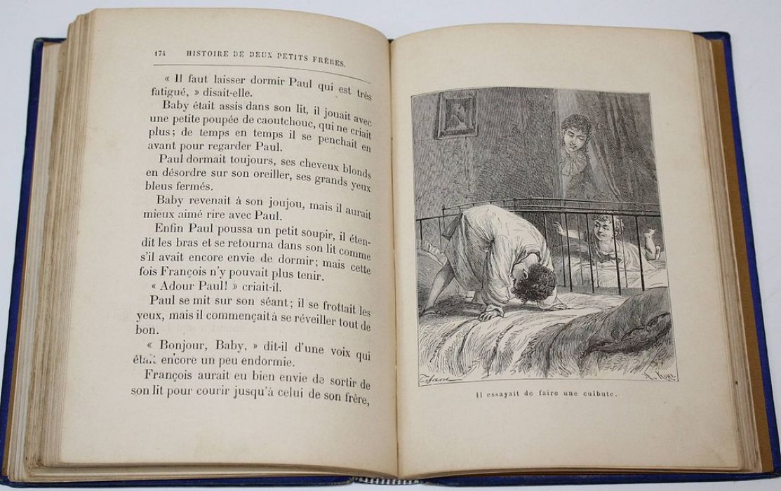 M-me de Witt. Histoire de deux petits freres. [Мадам де Витт. История двух младших братьев].
