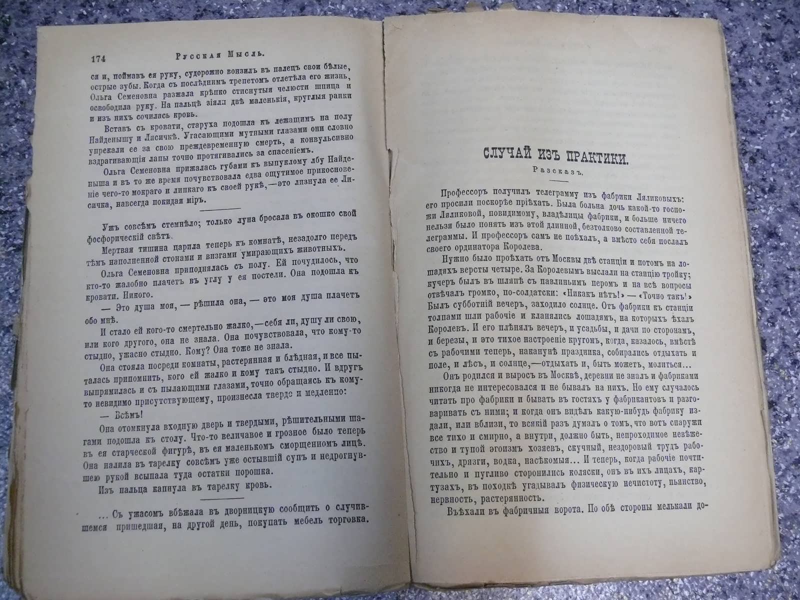 Чехов А.П. Случай из практики.