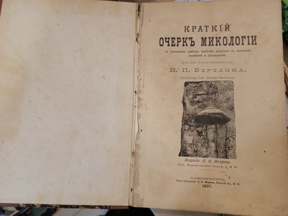 Бородин И.П., проф. СПб. Лесного Института. Краткий очерк микологии. С указанием грибов, наиболее вредных в сельском хозяйстве и лесоводстве.