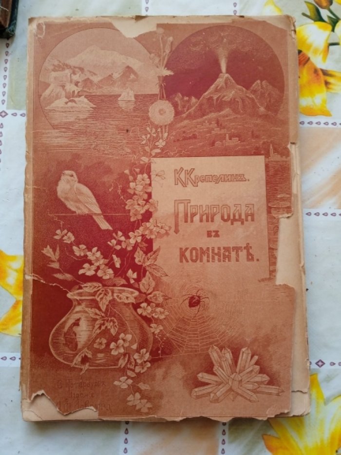 Крепелин К. Природа в комнате.