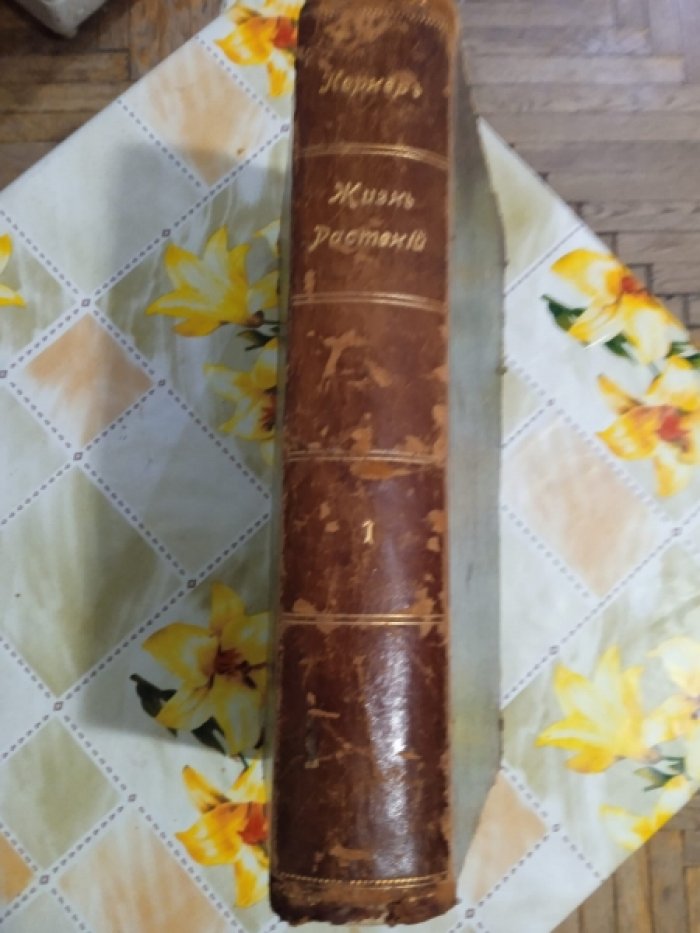 Кернер фон Марилаун. Жизнь растений. Том I. Форма и жизнь растения.