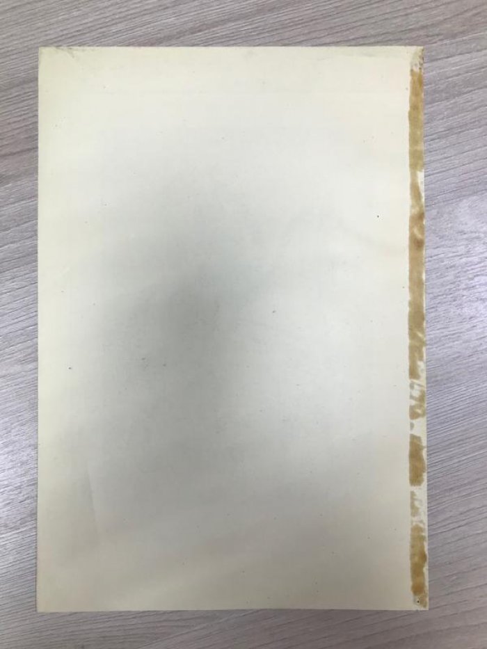 Литография. Генерал Отдельного Кавказского корпуса, 15 марта 1855. В парадной форме.