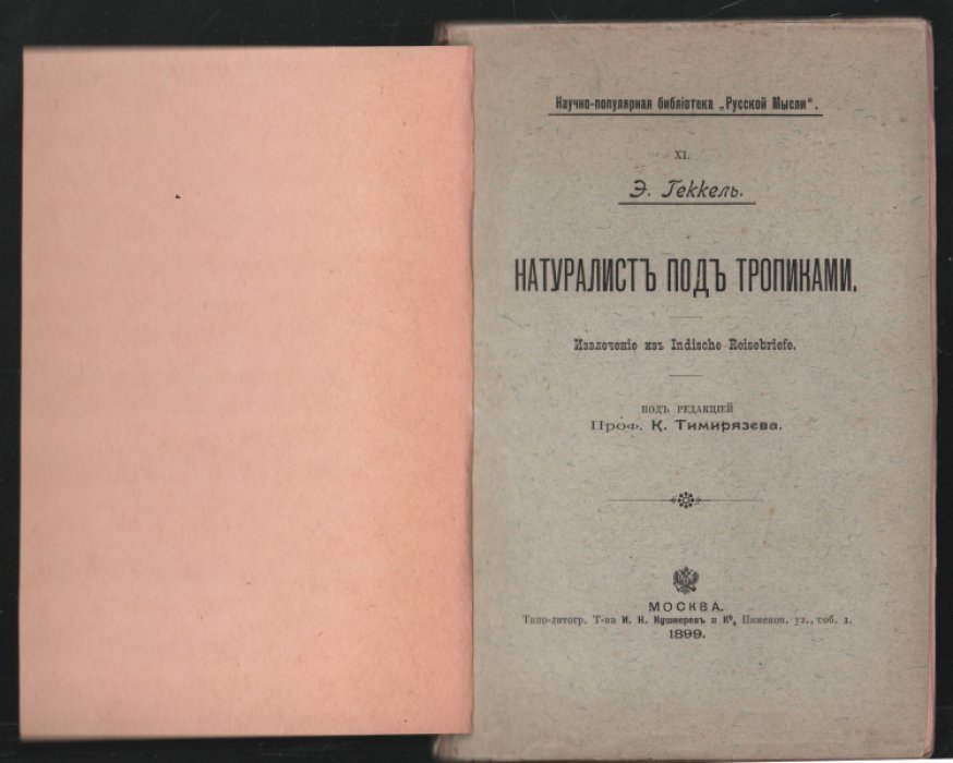 Геккель Э. Натуралист под тропиками.