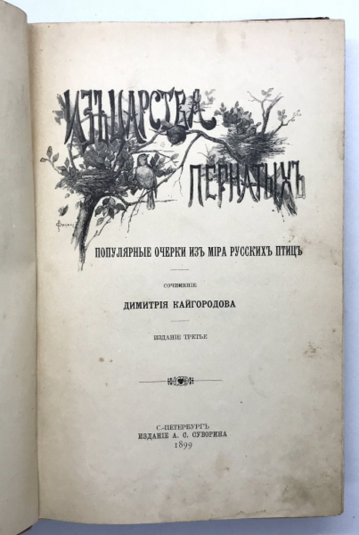 Кайгородов Димитрий. Из царства пернатых.