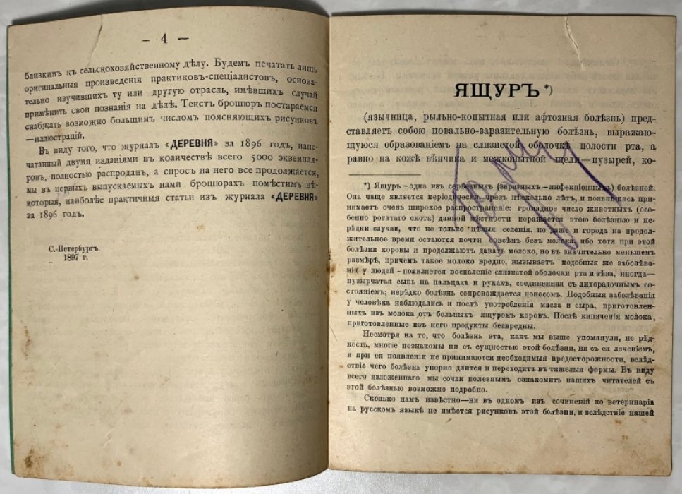 Березов Ф.А. Ящур. Язычница, рыльно-копытная или афтозная болезнь.