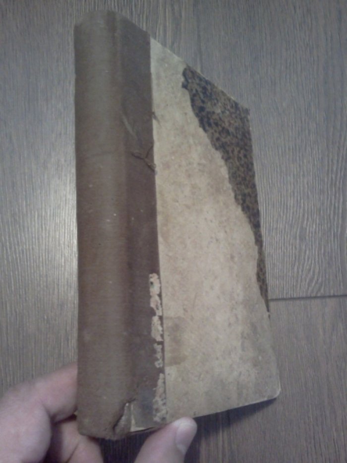 Иванов Ив. История русской критики.