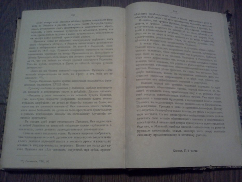 Иванов Ив. История русской критики.