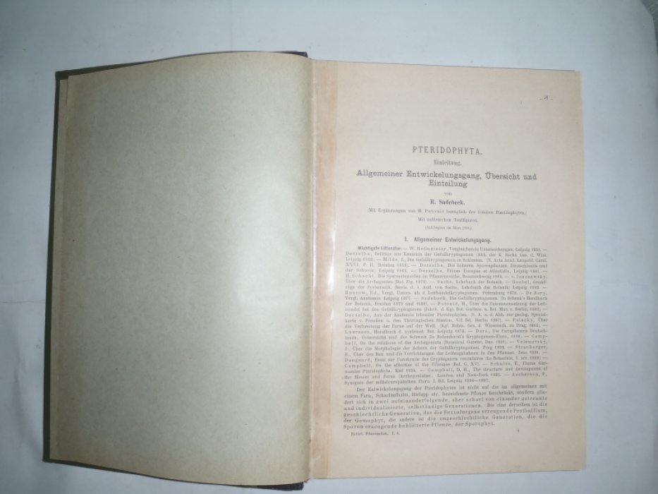 Engler A., Prantl K. ( Энглер А., Прантль К.) Die naturlichen. Pflanzenfamilien. (Натуральные. Семейства растений)