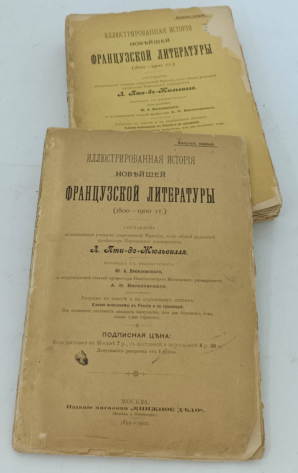 Иллюстрированная история новейшей французской литературы (1800-1900гг.). Вып. 1-8.