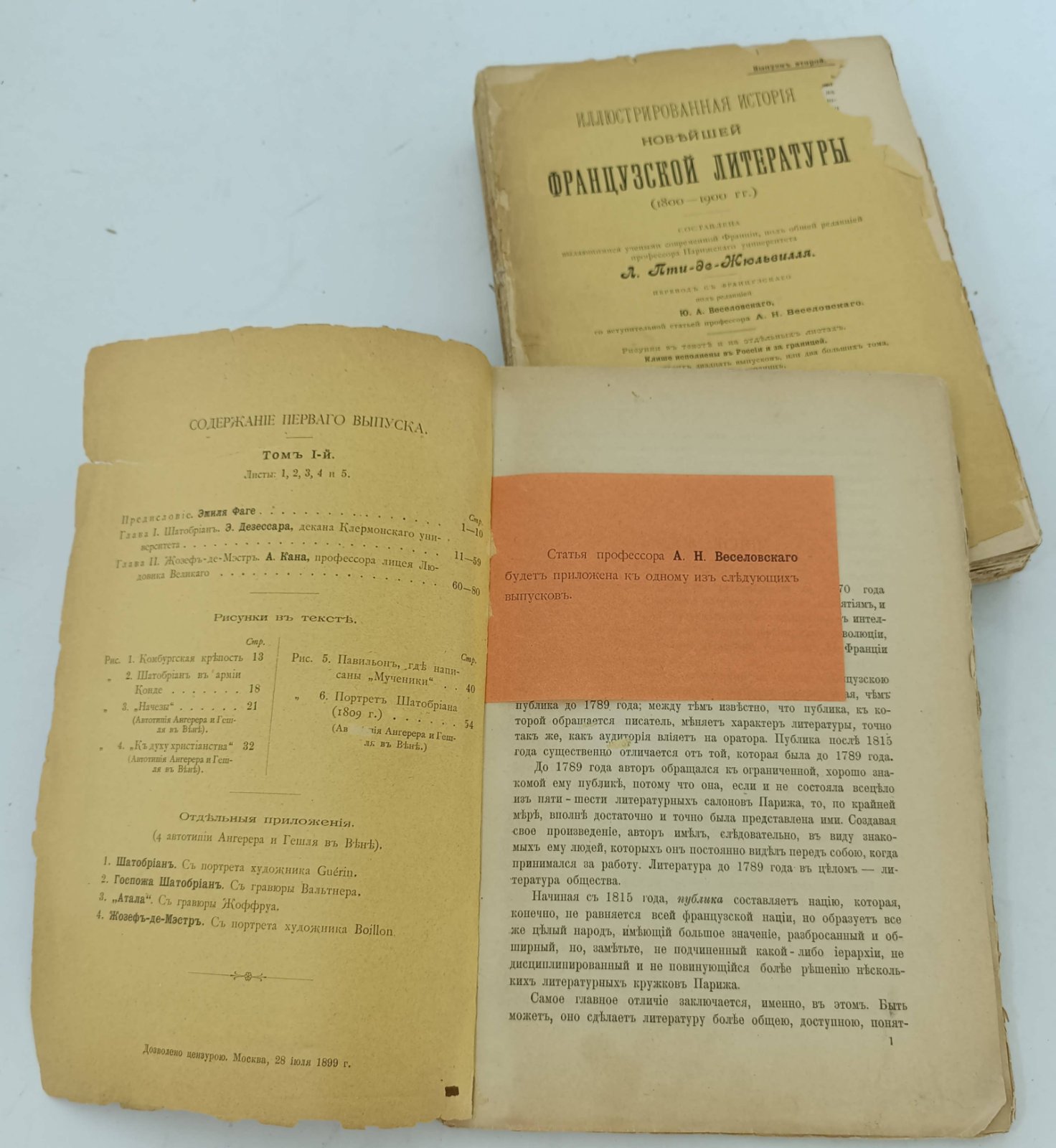 Иллюстрированная история новейшей французской литературы (1800-1900гг.). Вып. 1-8.