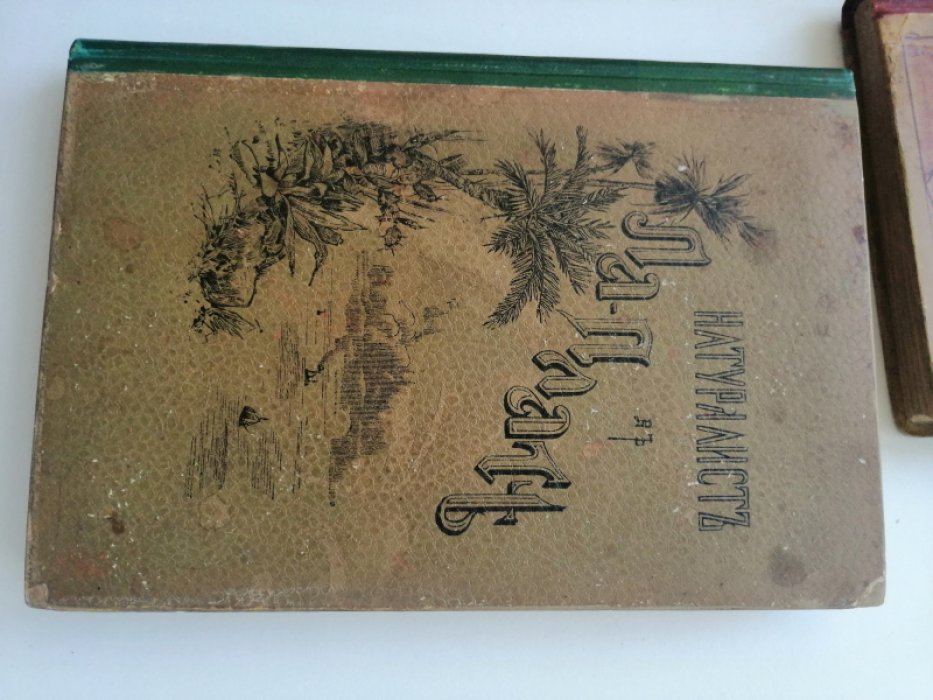 Хэдсон У.Г. (W.H. Hudson) Натуралист в Ла-Плате.
