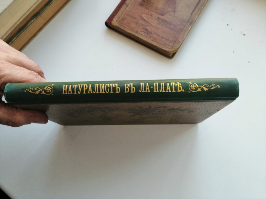 Хэдсон У.Г. (W.H. Hudson) Натуралист в Ла-Плате.
