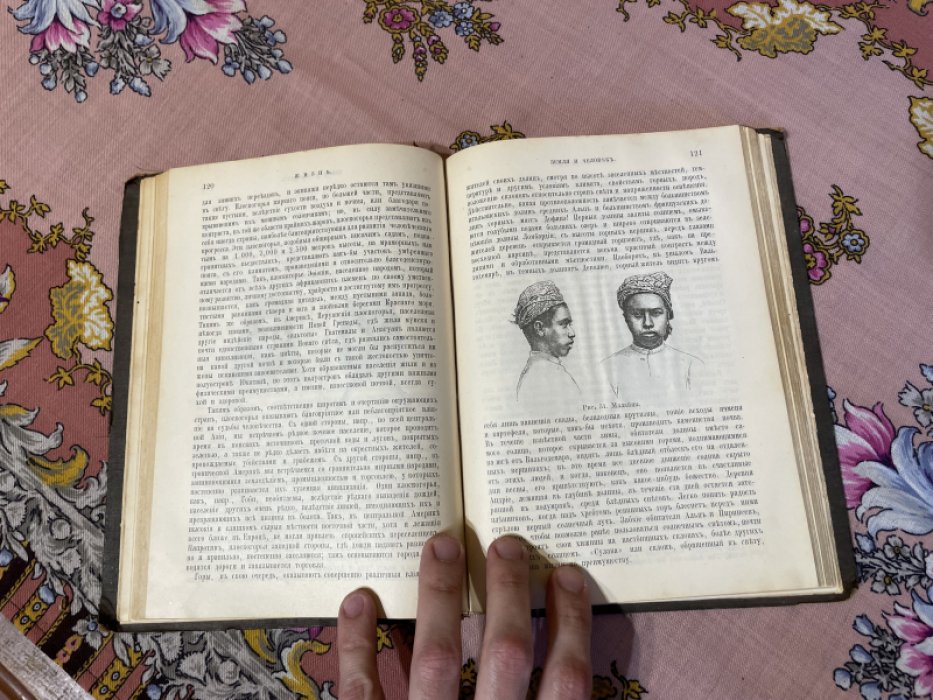 Реклю Э. Земля. Описание жизни земного шара. Выпуск VI.