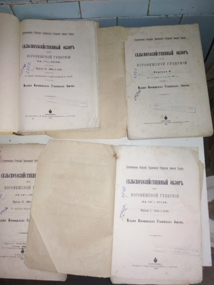 Сельскохозяйственный обзор по Воронежской губернии. За 1895/96 год. Период II. - Лето и осень.