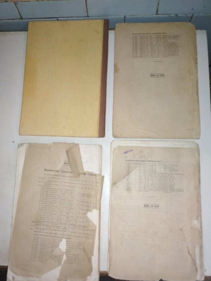 Сельскохозяйственный обзор по Воронежской губернии. За 1895/96 год. Период II. - Лето и осень.