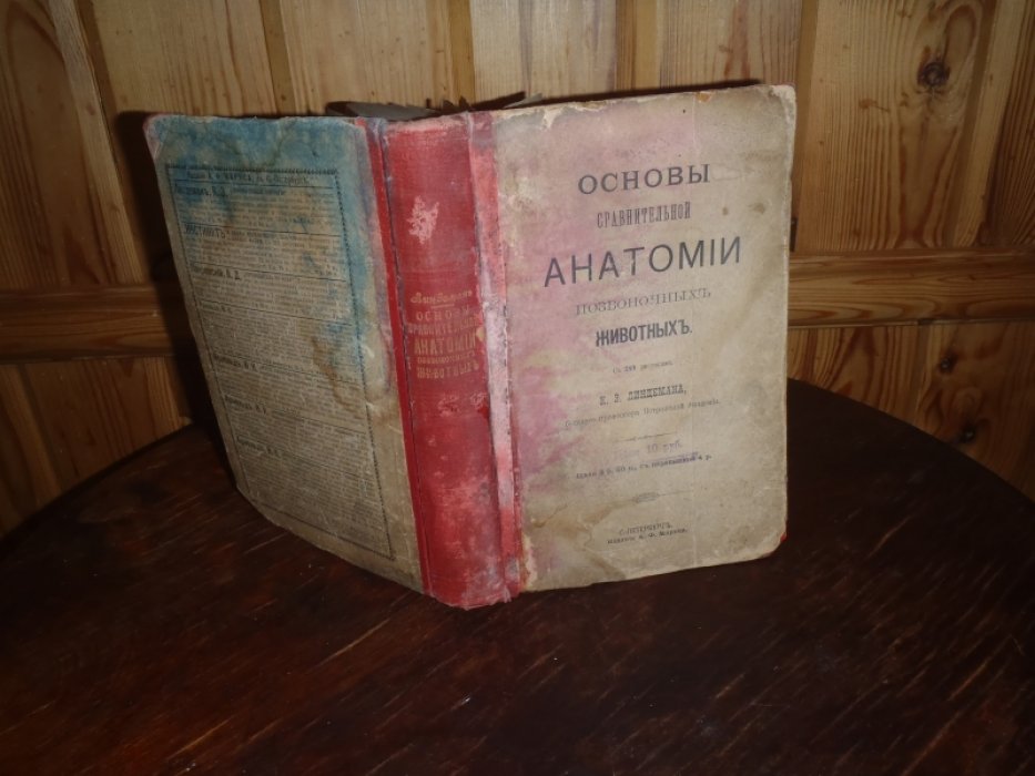Линдеман К.Э. Основы сравнительной анатомии позвоночных животных.