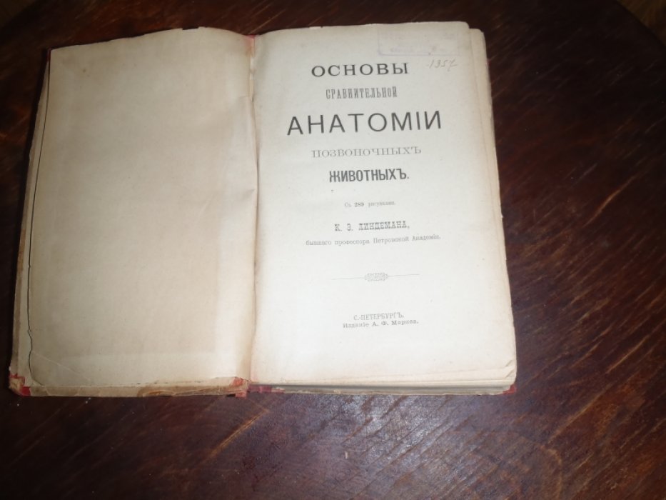 Линдеман К.Э. Основы сравнительной анатомии позвоночных животных.