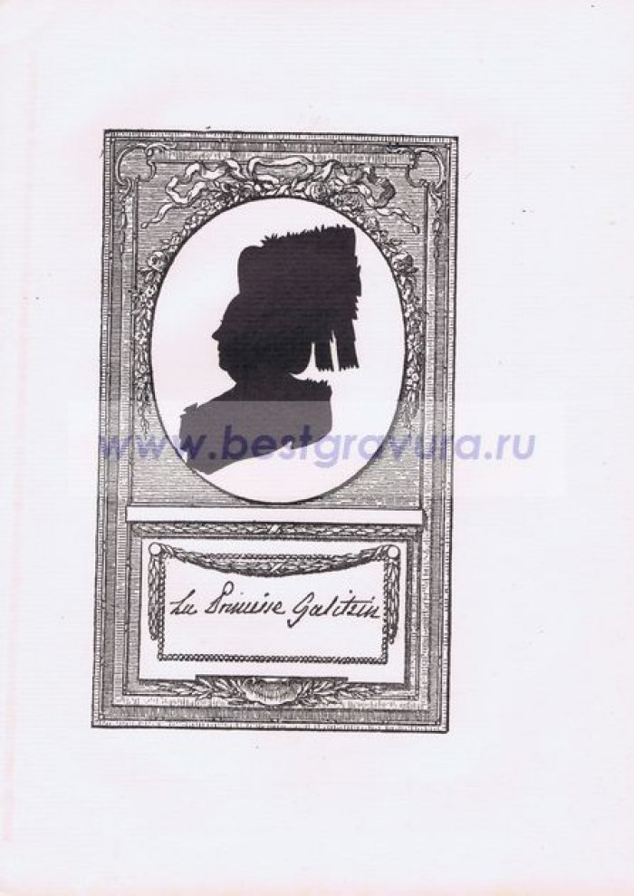 Сидо, Фредерик Георг (Sideau, Frederic George). Княгиня Дарья Алексеевна Голицына (Гагарина).