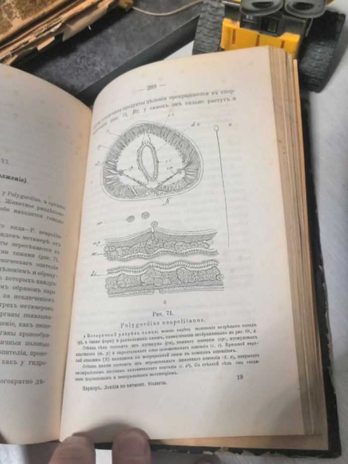 Паркер Т. Лекции по элементарной биологии.