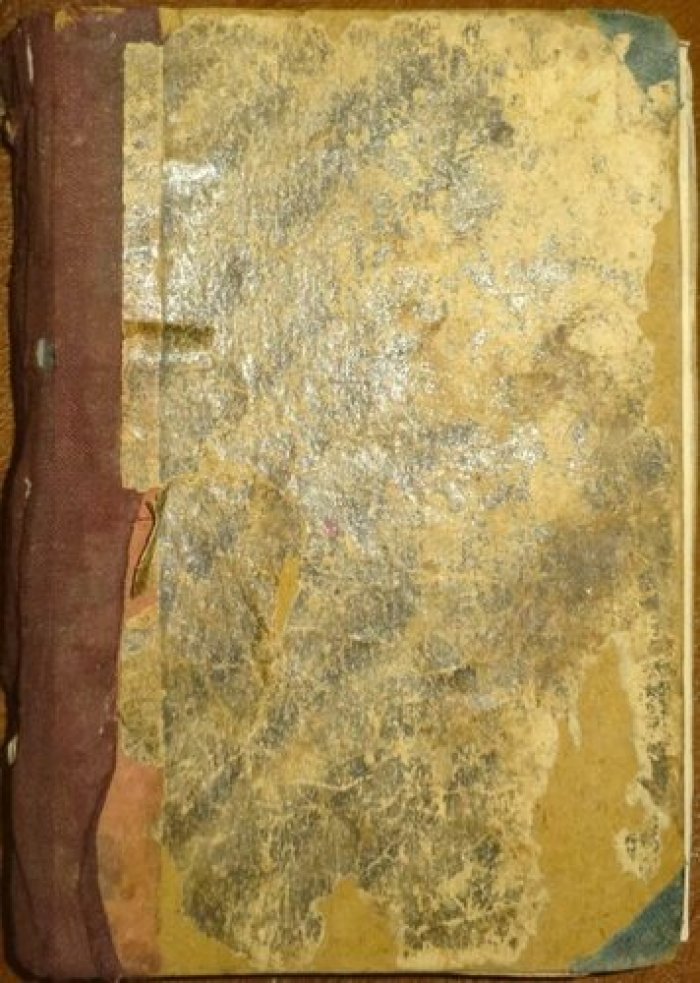 Михневич В. Русская женщина XVIII столетия.