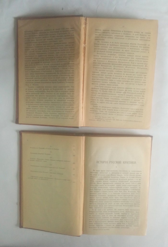 Иванов, Ив. История русской критики.