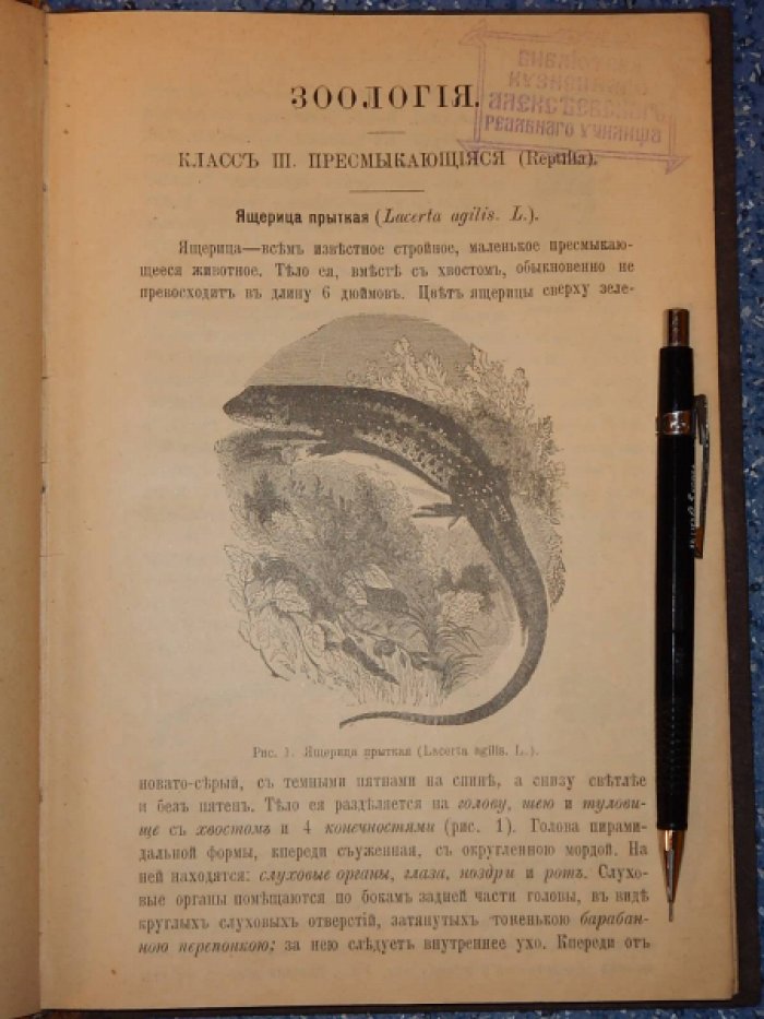 Брандт Э.К. Начальные сведения из естественной истории.