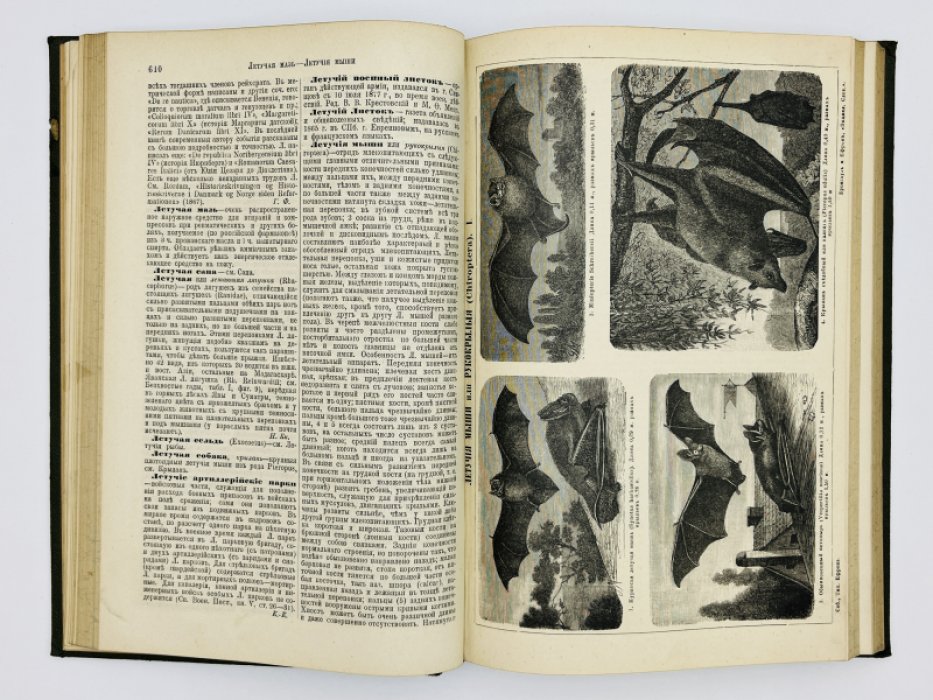 Брокгауз Ф.А., Ефрон И.А. Энциклопедический словарь. Том XVIIа (полутом 34). Ледье -Лопаревъ