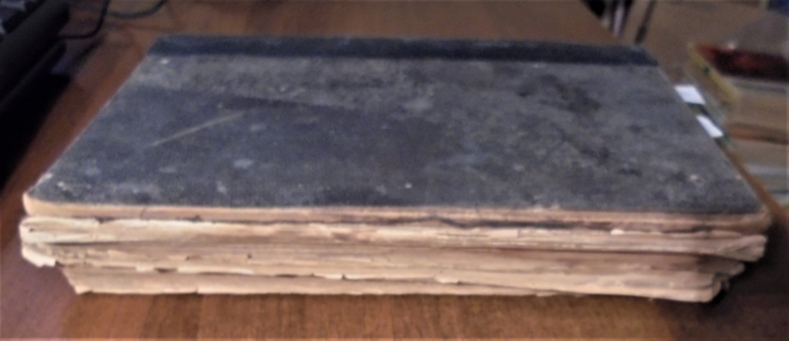 Природа и Охота. 1895 г. Июль, август, сентябрь