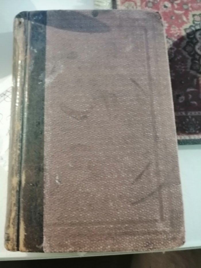 Аугуста (Аугусти). В стране пальм.