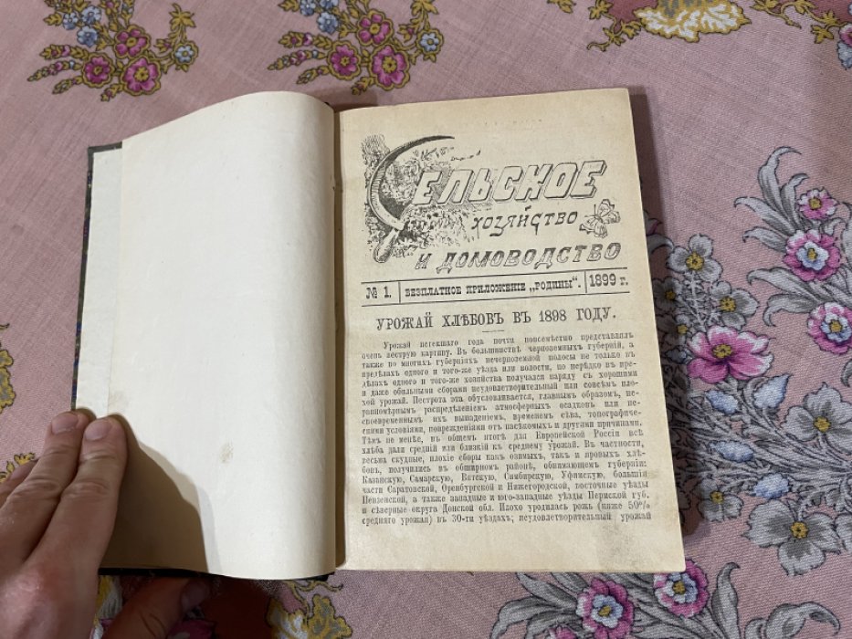 Два бесплатных приложения `Родины` от 1899 года в одном переплете. 1) Сельское хозяйство. 2) Домашний театр.
