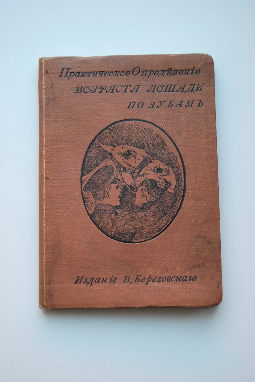 Практическое определение возраста лошади по зубам.