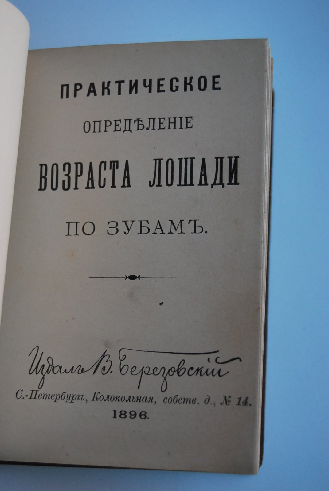 Практическое определение возраста лошади по зубам.