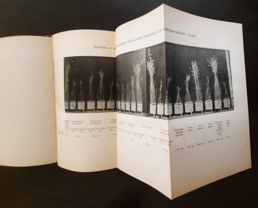 Коссович, П.С. Отчет сельскохозяйственной химической лаборатории Министерства Земледелия и Государственных имуществ в С.-Петербурге.
