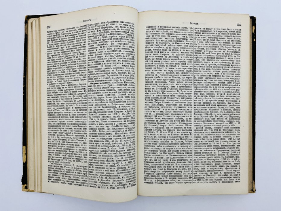 Брокгауз Ф.А., Ефрон И.А. Энциклопедический словарь. Том IIIа (полутом 6). Бергер - Бисы