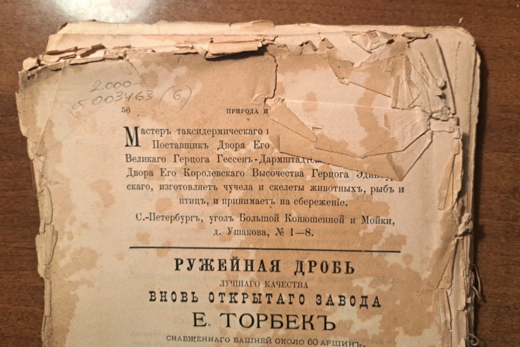 Природа и охота. Октябрь № 10 за 1893 год
